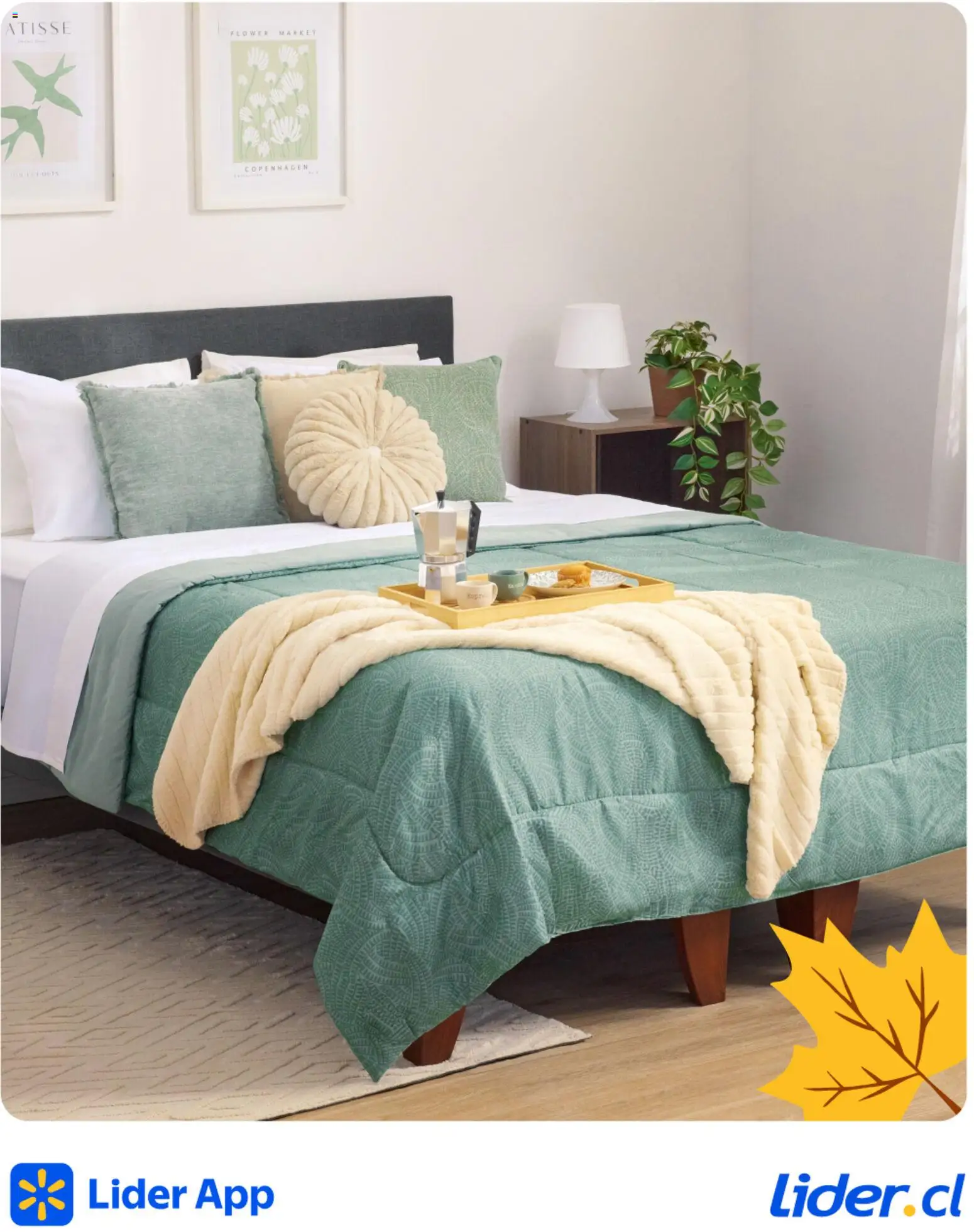 Lider Ofertas  │ válido desde el 20.04.2026 | Página: 5