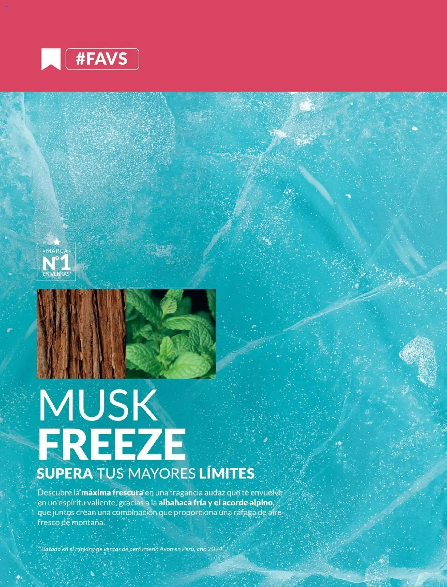 Catálogo Avon válido desde 01.02.2026 | Página: 99 | Productos: Té, Fragancia