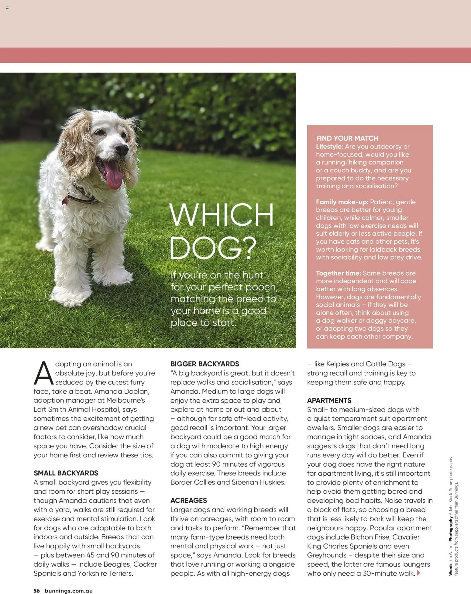 Bunnings Warehouse catalogue - valid from 01.03.2026 | Page: 56 | Products: Couch, Makeup, Suit, Safe