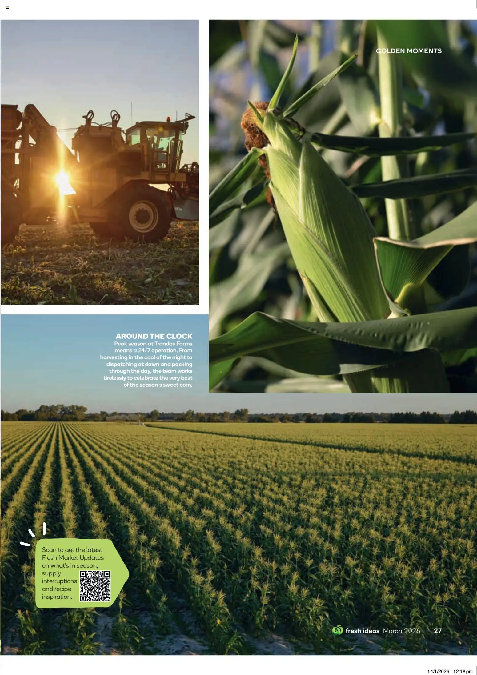 Woolworths catalogue - valid from 01.03.2026 | Page: 27 | Products: Clock