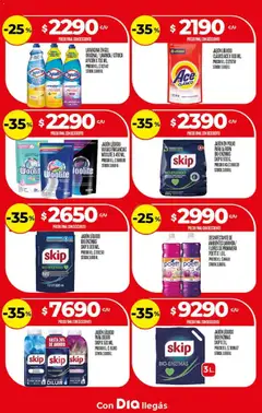 Vista previa Supermercado DIA Ofertas válido desde el 18.03.2026 | Página: 24 | Productos: Desinfectante, Lavandina, Jabón líquido, Ropa
