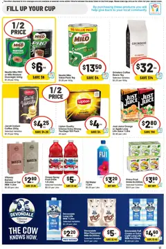 Preview of IGA  Catalogue  - valid from 28.01.2026 | Page: 17