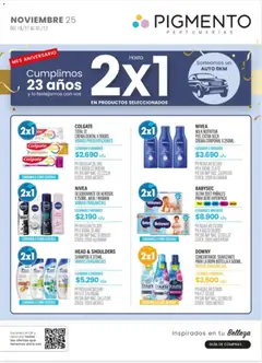 Vista previa Pigmento catálogo válido desde el 18.11.2025