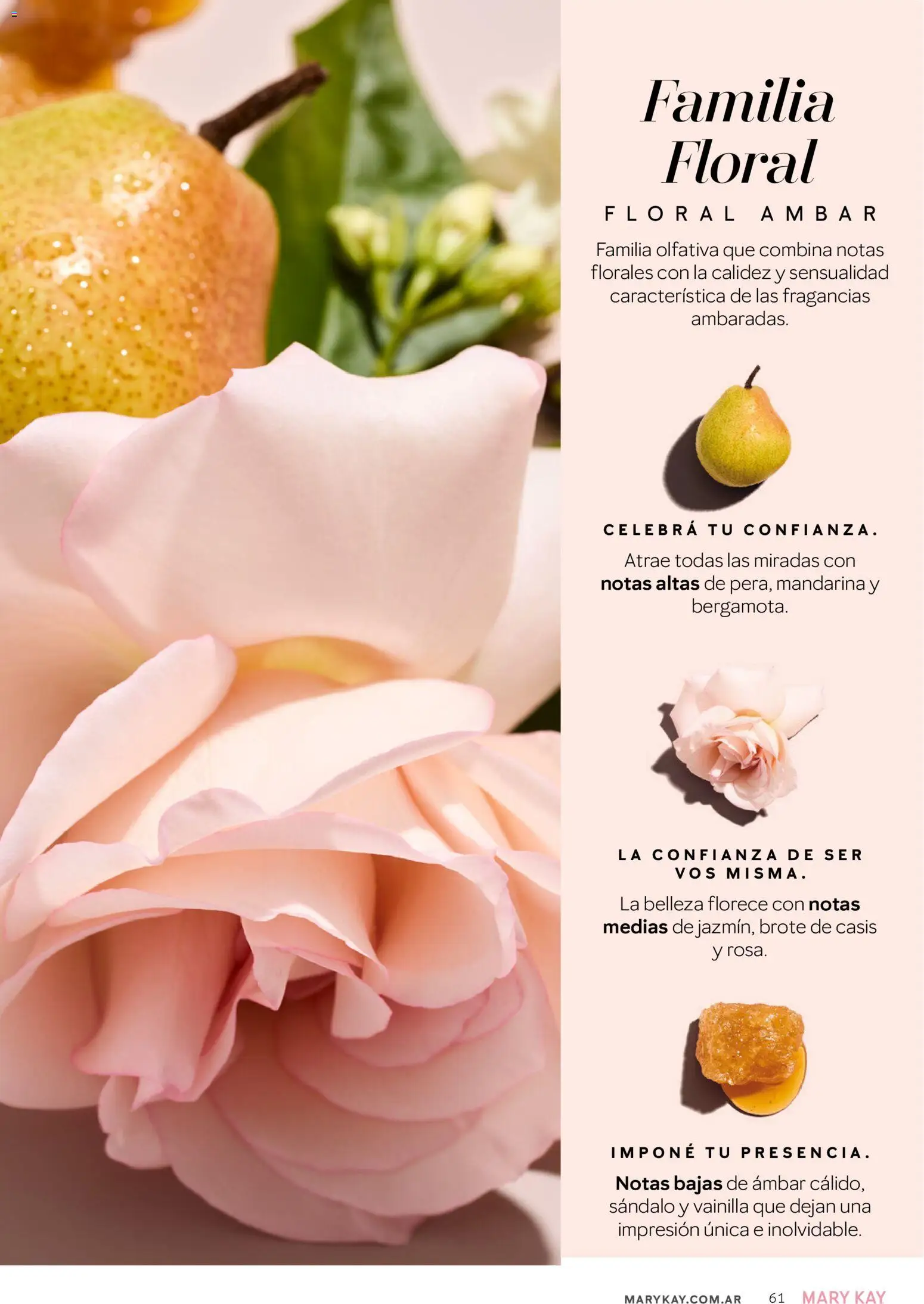 Mary Kay catálogo │ válido desde el 01.03.2026 | Página: 61 | Productos: Medias