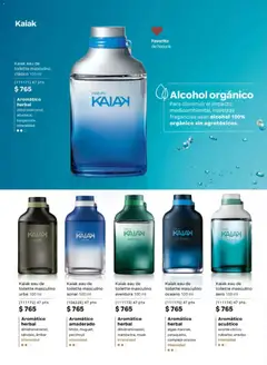 Vista previa de Natura campaña 6 2026, nuevo folleto de la tienda, válido en México a partir del 02.04.2026 | Página: 62 | Productos: Eau de toilette