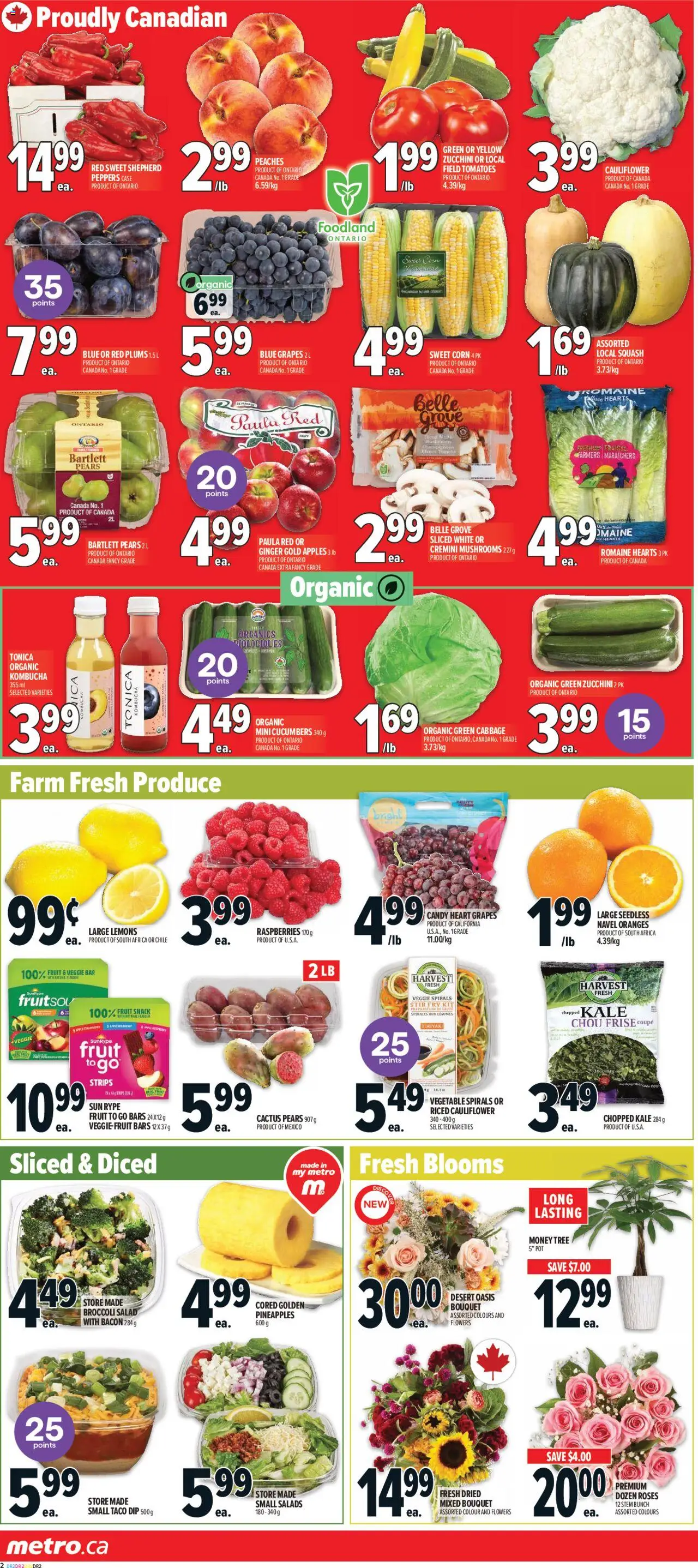 Metro flyer valid from 04.09.2025 | Page: 6 | Products: Salad, Apples, Oranges, Tomatoes