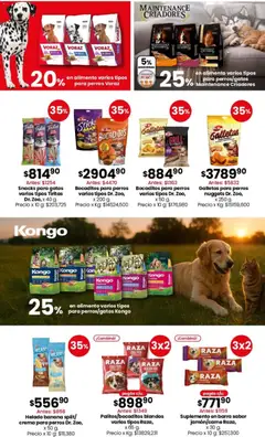 Vista previa Coto - Ofertas BAZAR, DECO válido desde el 16.03.2026 | Página: 4