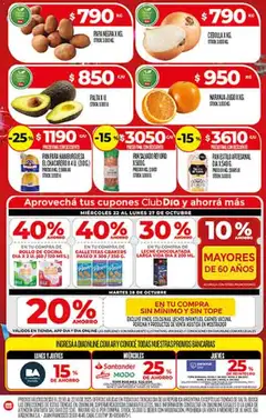 Vista previa Supermercado DIA Ofertas válido desde el 22.10.2025 | Página: 4