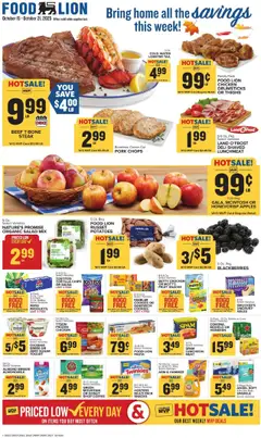 Preview of Food Lion weekly ads valid from 15.10.2025