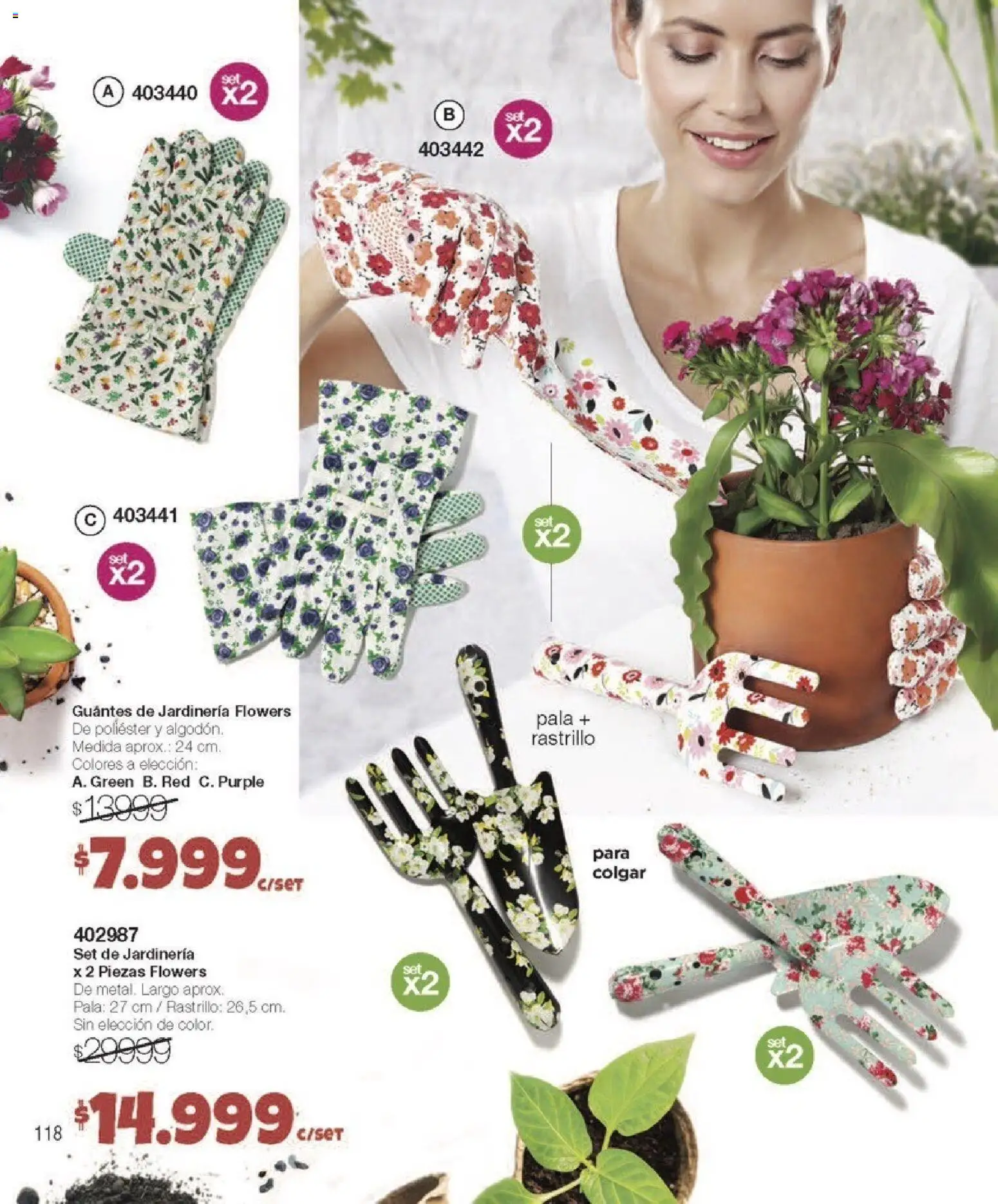 Violetta catálogo de 01/05/2026 ✳️ Obtenga un descuento limitado hoy mismo | Argentina
