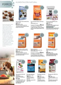 Vista previa de El Corte Inglés catálogo Mascota Noviembre , nuevo folleto de la tienda, válido en México a partir del 01.11.2025 | Página: 2