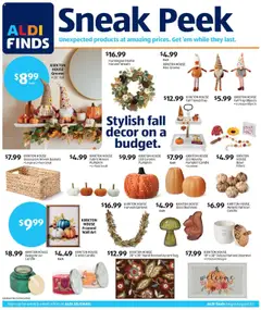 Preview of Aldi weekly ads valid from 20.08.2025