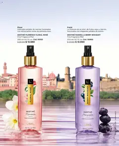 Catálogo L'Bel Campaña 12 │ válido desde el 16.07.2025 | Página: 77 | Productos: Pimienta
