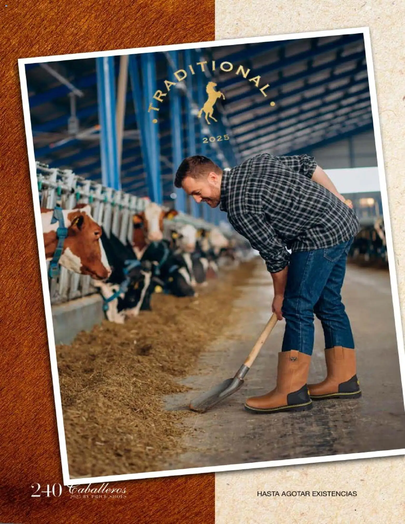 Nuevas ofertas de Price Shoes válidas en toda la República Mexicana desde el 26.11.2025. ¡Encuentra las mejores ofertas en Price Shoes catálogo Caballeros! | Página: 240