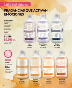 Bagués catálogo │ válido desde el 28.07.2025 | Página: 84 | Productos: Durazno, Mango, Uva, Esencias