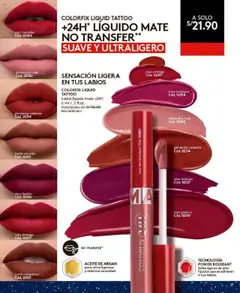 Vista previa de folleto Ésika - Campaña 17 de la Ésika válido desde 24.10.2025 | Página: 41