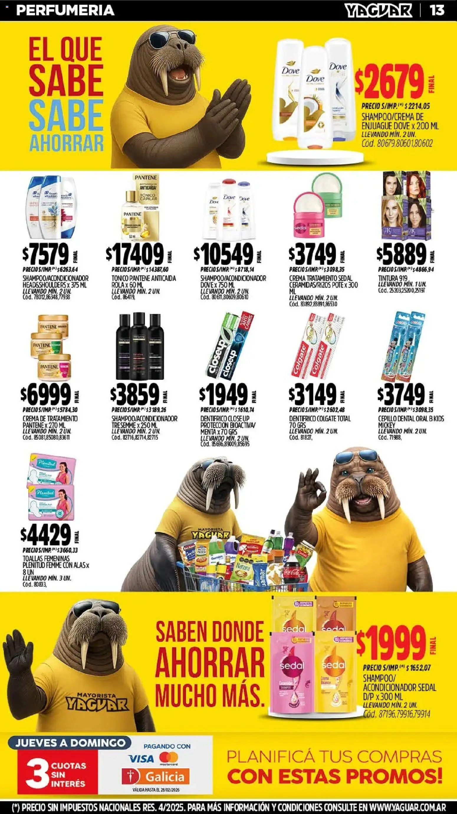 Yaguar - Oferta Semanal Mar del Plata │ válido desde el 09.02.2026 | Página: 12 | Productos: Toallas, Cepillo, Tintura, Acondicionador