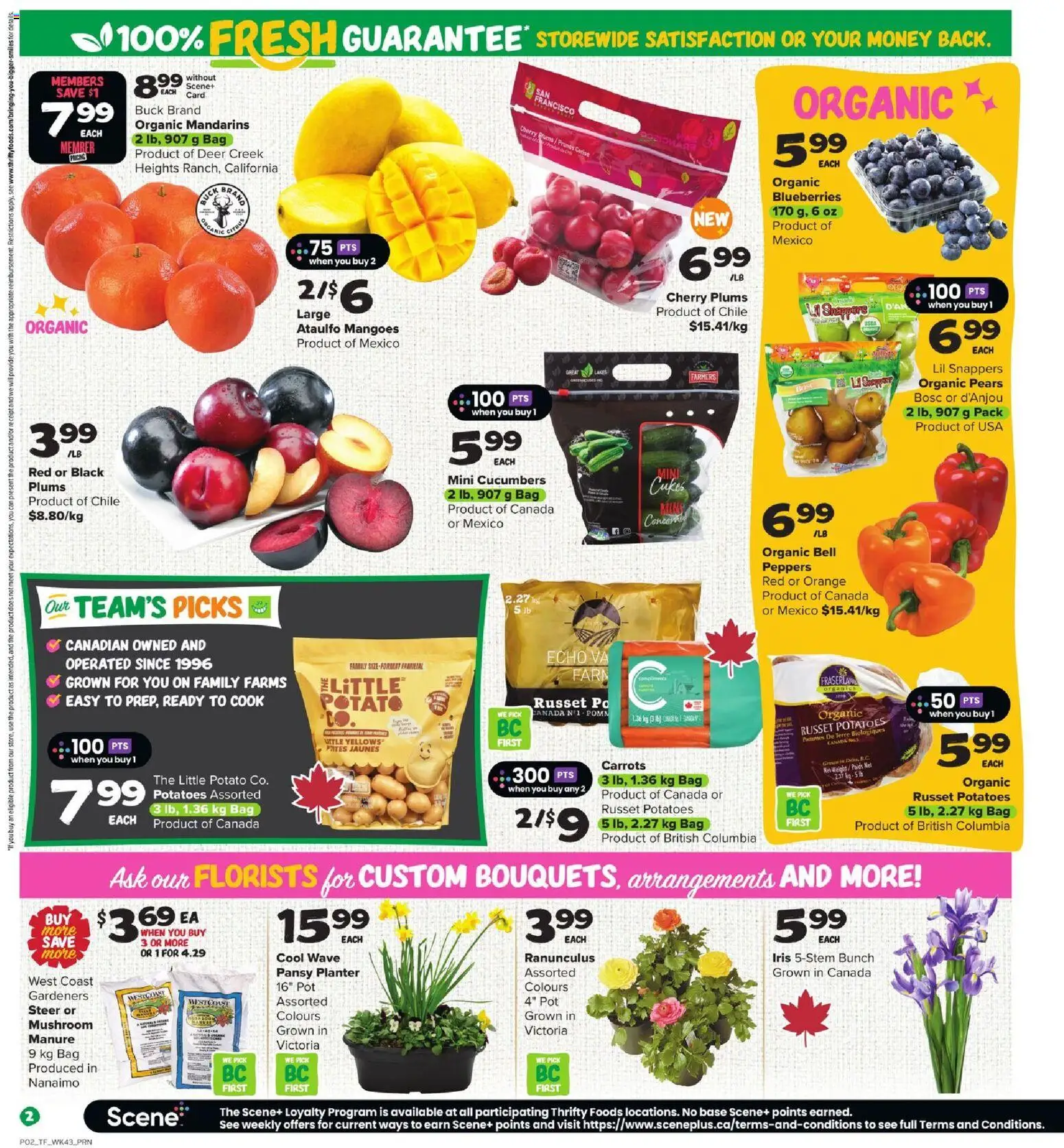 Thrifty Foods flyer valid from 19.02.2026 | Page: 3 | Products: Cucumbers, Potatoes, Bag