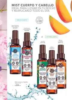 Nuevas ofertas de Yves Rocher válidas en toda la República Mexicana desde el 26.08.2025. ¡Encuentra las mejores ofertas en Yves Rocher - Campaña 12 2025! | Página: 62 | Productos: Hinojo, Bolso, Mango