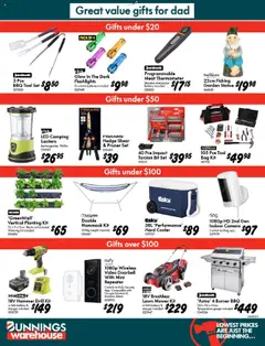 Bunnings Warehouse catalogue - valid from 13.08.2025 | Page: 12