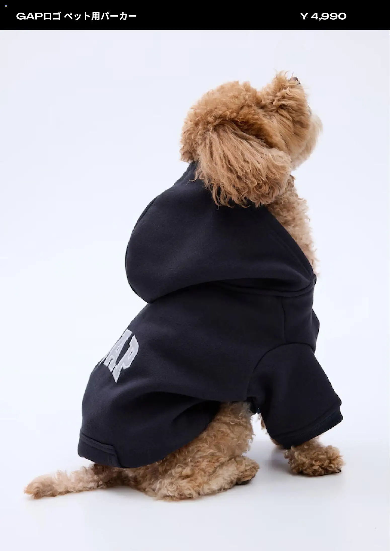 {H1} | ページ: 11