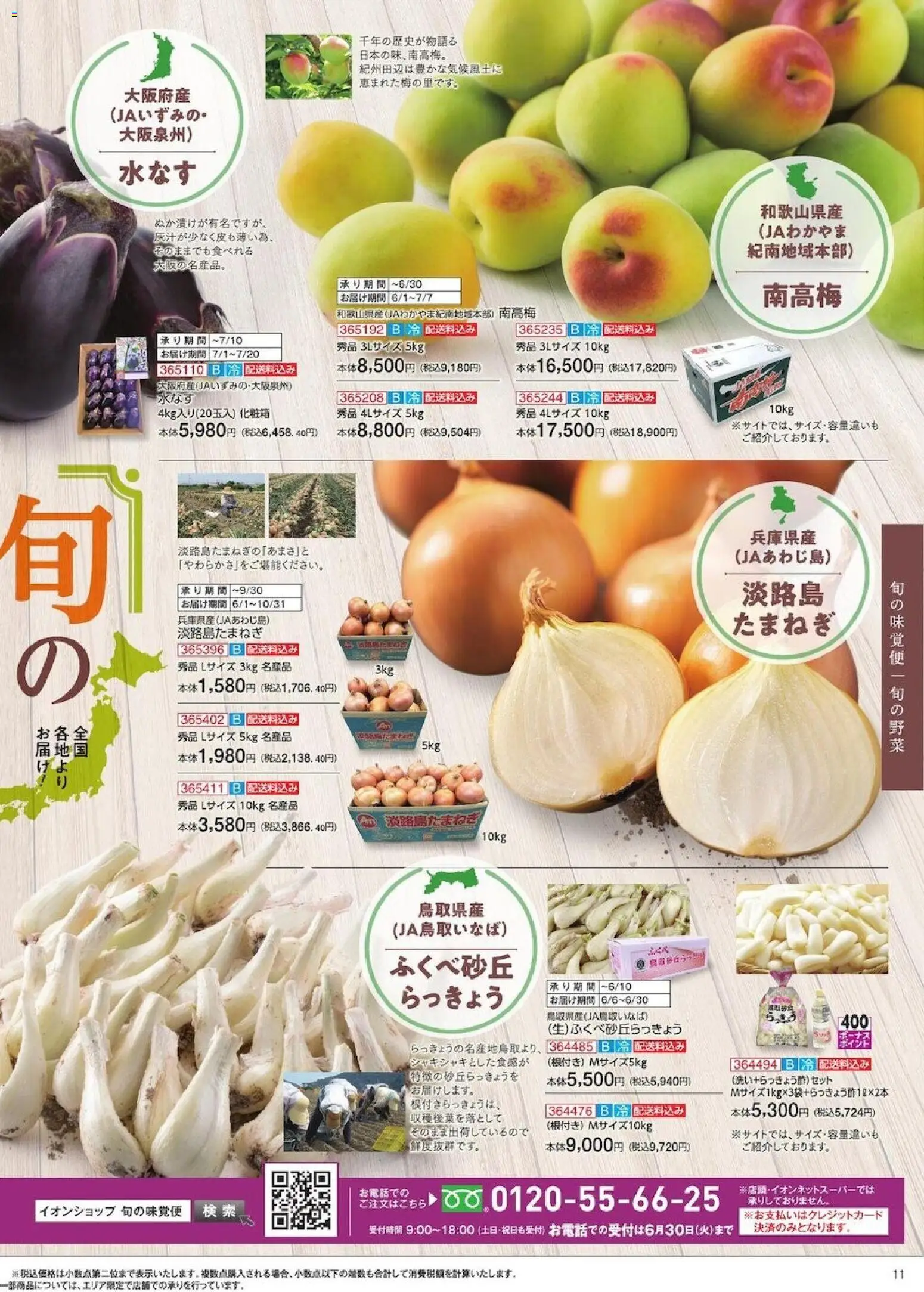 {H1} | ページ: 11