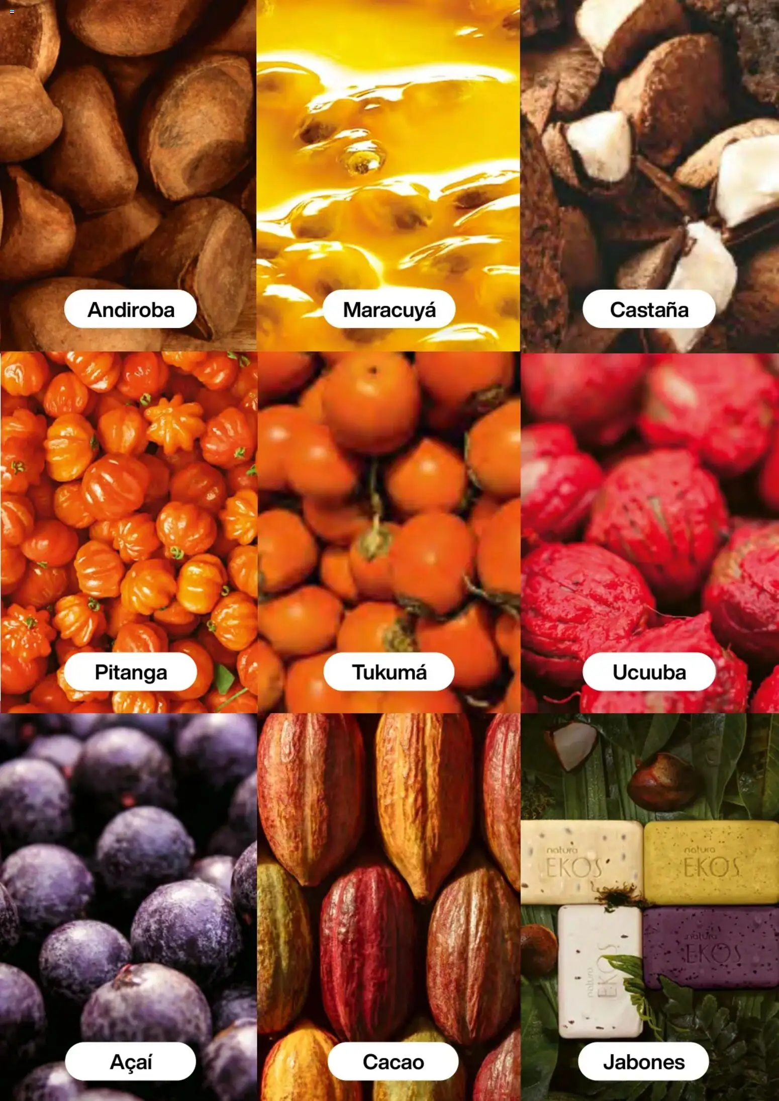 Natura revista - valida desde el 01.03.2026 | Página: 102 | Productos: Maracuyá