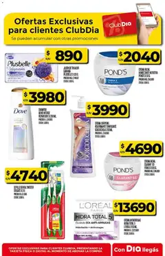 Vista previa Supermercado DIA Ofertas válido desde el 21.01.2026 | Página: 44 | Productos: Cepillo, Shampoo, Crema