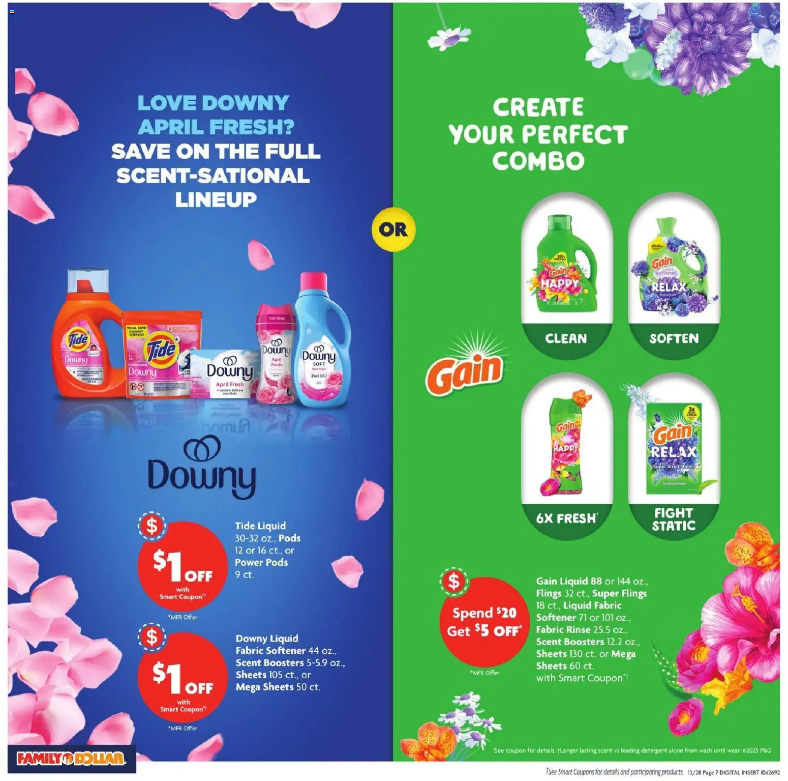 Family Dollar Current Ad - TX - valid from 28.12.2025 | Page: 10 | Products: Fabric softener, Detergent