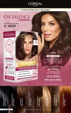 Vista previa de folleto Azzorti - Campaña C02/2026 de la Azzorti válido desde 15.12.2025 | Página: 143