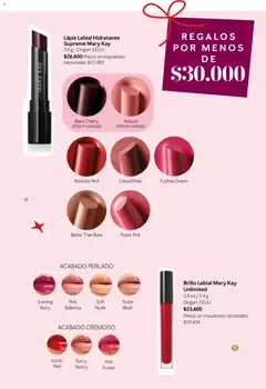 Vista previa Mary Kay catálogo válido desde el 01.11.2025 | Página: 18