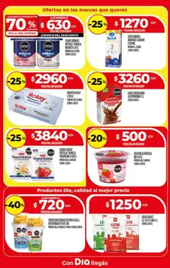 Supermercado DIA Ofertas │ válido desde el 13.08.2025 | Página: 10