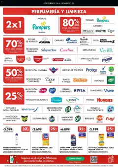 Vista previa Disco - Ofertas | Bs. As. y Santa Fé válido desde el 23.10.2025 | Página: 6 | Productos: Lustramuebles, Insecticida, Limpiador, Canasta