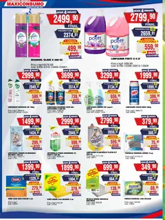 Vista previa Maxiconsumo ofertas válido desde el 20.04.2026 | Página: 22 | Productos: Rejilla, Fragancia, Esponja, Té