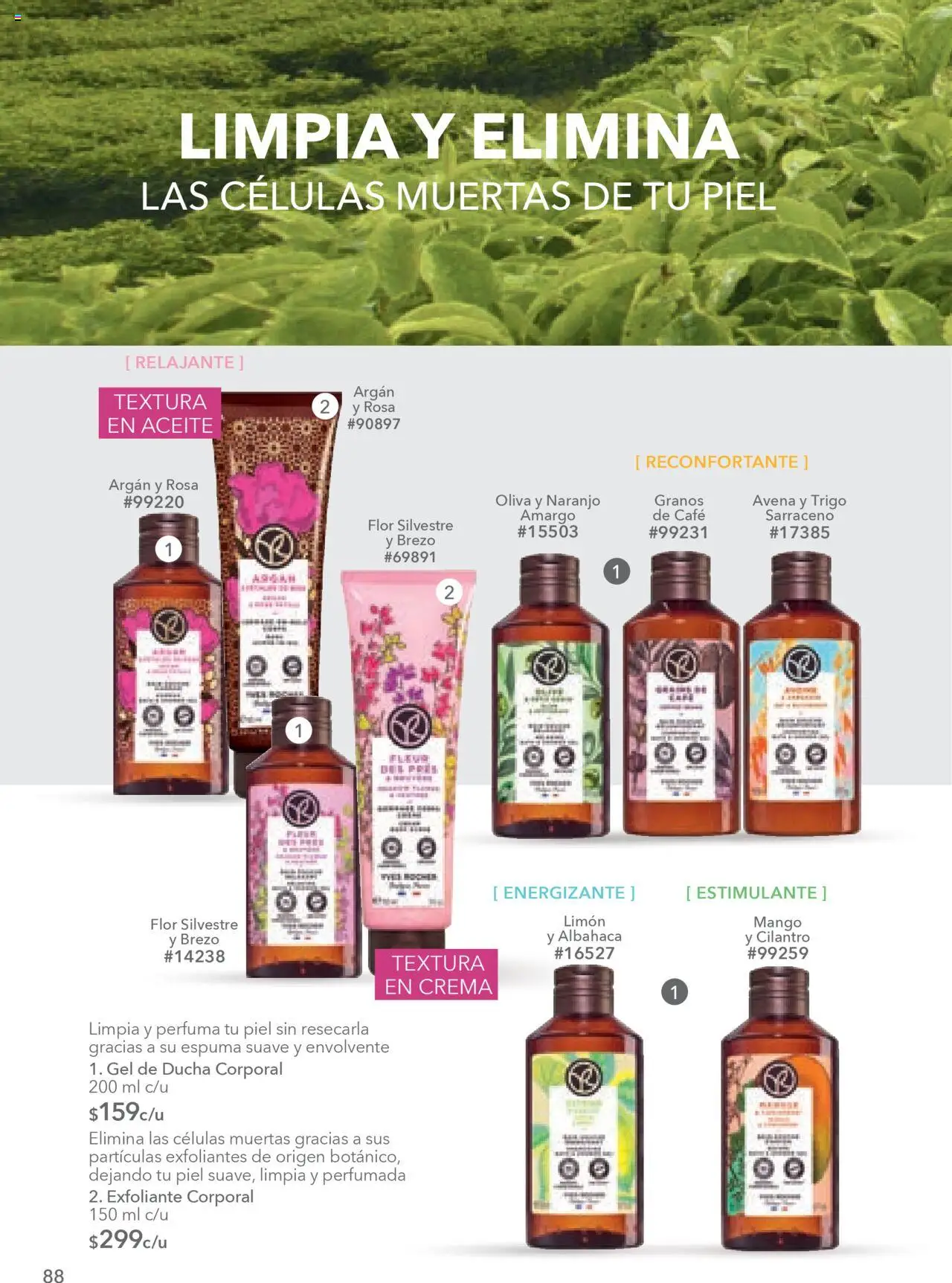 Nuevas ofertas de Yves Rocher válidas en toda la República Mexicana desde el 18.09.2025. ¡Encuentra las mejores ofertas en Yves Rocher - Campaña 13 2025! | Página: 90 | Productos: Avena, Limón, Café, Gel de ducha