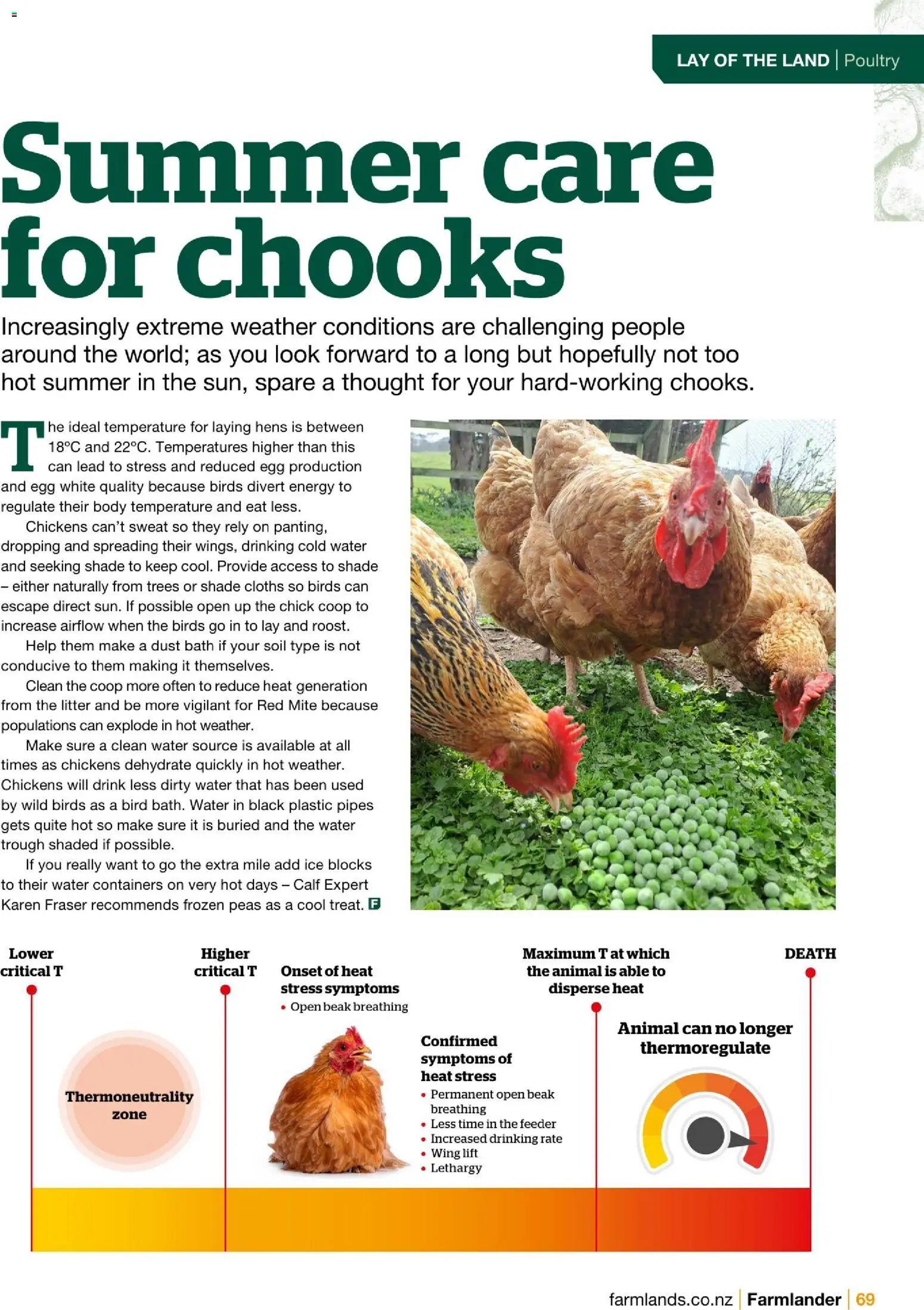 Farmlands catalogue from 01.12.2025 | Page: 71