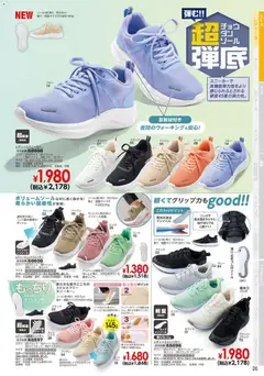 13.02.2026から有効なオファーを含む ヒラキ - チラシ | ページ: 27