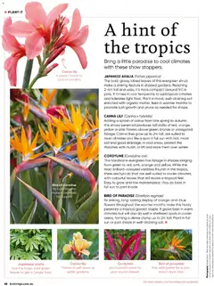 Preview of Catalogue Bunnings Warehouse November  - valid from 01.11.2025 | Page: 68