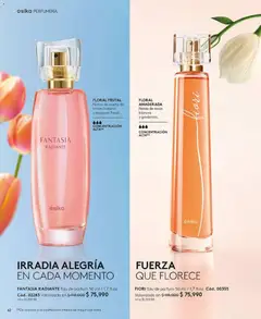 Ésika - Catálogo Ésika C02 -  Vista previa de la revista de la tienda Ésika valido desde el 01.02.2026 | Página: 62