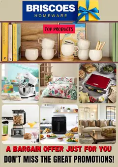 Briscoes catalogue preview  - valid from 29.12.2025