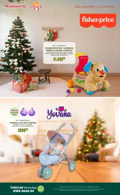 Vista previa de Del Sol y Woolworth catálogo, nuevo folleto de la tienda, válido en México a partir del 11.12.2025 | Página: 2