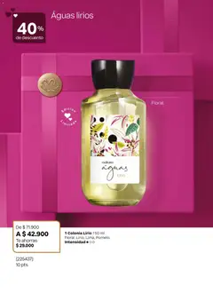 Natura - Catálogo Natura C02/2026 -  Vista previa de la revista de la tienda Natura valido desde el 01.02.2026 | Página: 26 | Productos: Té