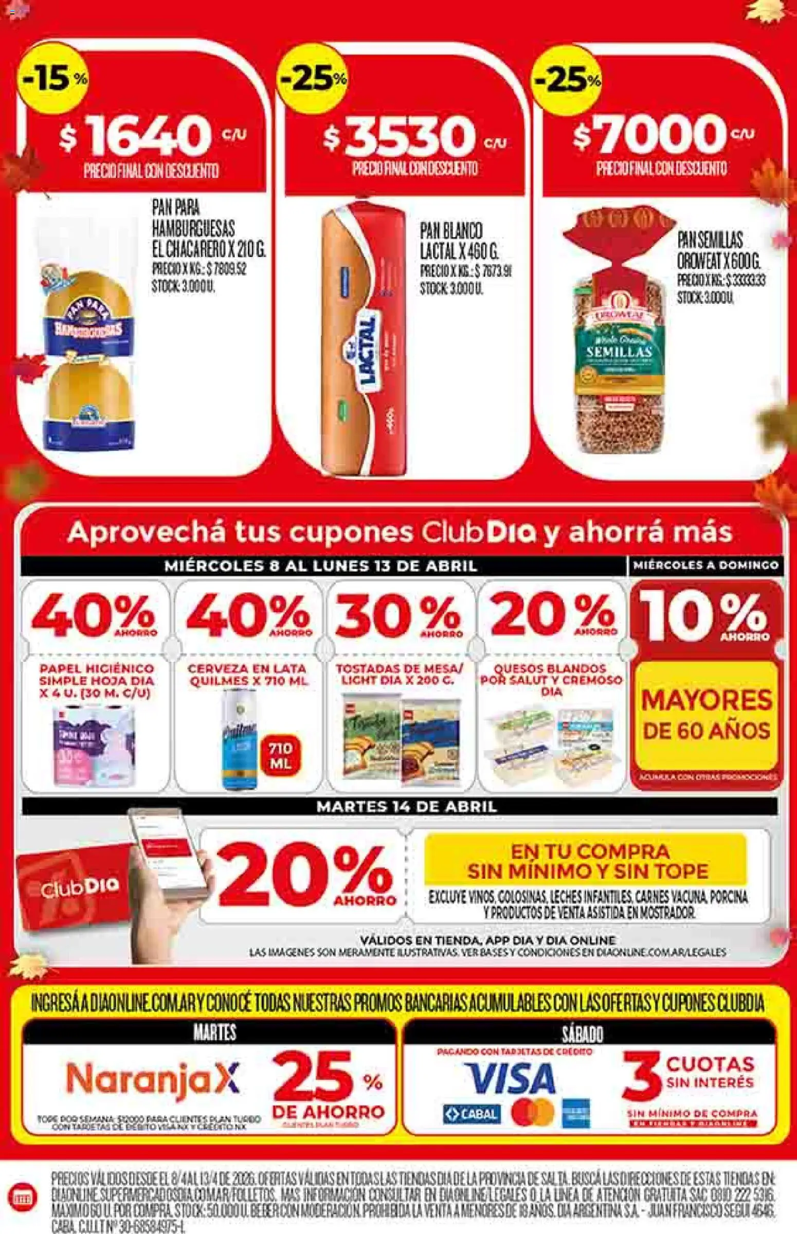 Dia - Ofertas - Salta y Jujuy │ válido desde el 08.04.2026 | Página: 4 | Productos: Papel higiénico, Semillas, Pan, Cerveza