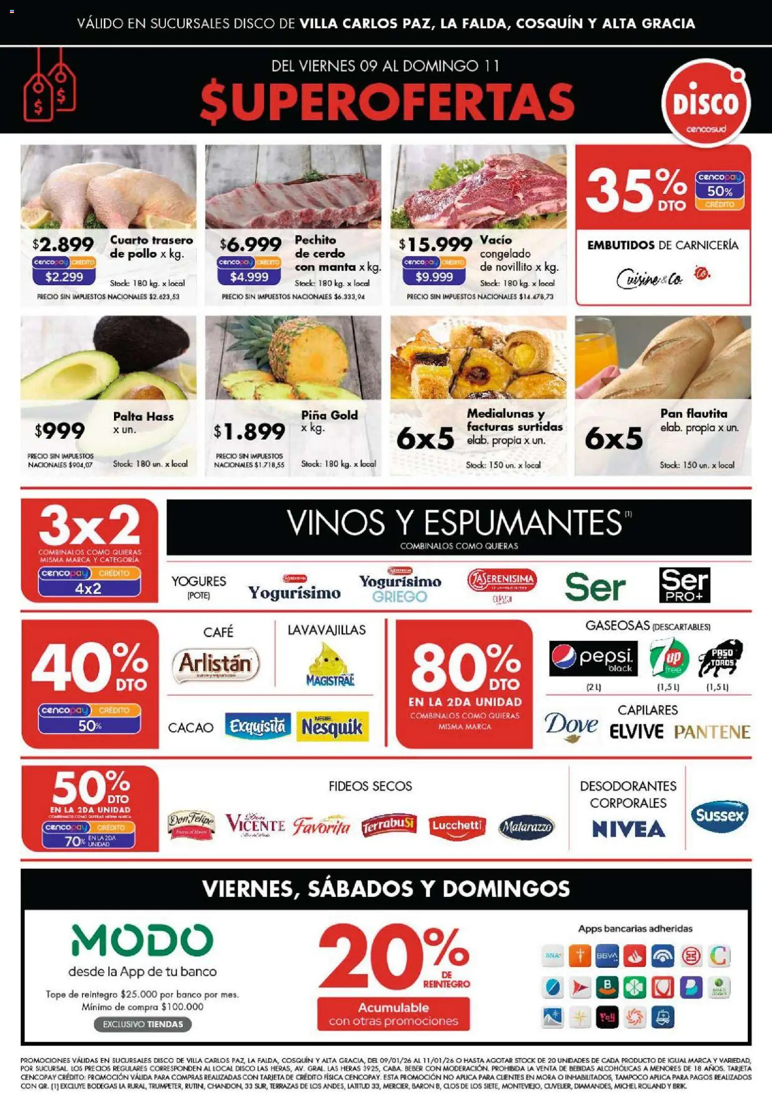 Disco - Ofertas | Punilla │ válido desde el 09.01.2026 | Página: 1 | Productos: Disco, Palta, Pan, Piña