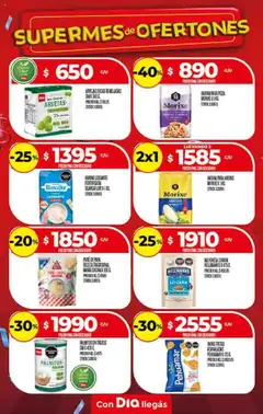 Vista previa Supermercado DIA Ofertas válido desde el 15.10.2025 | Página: 16