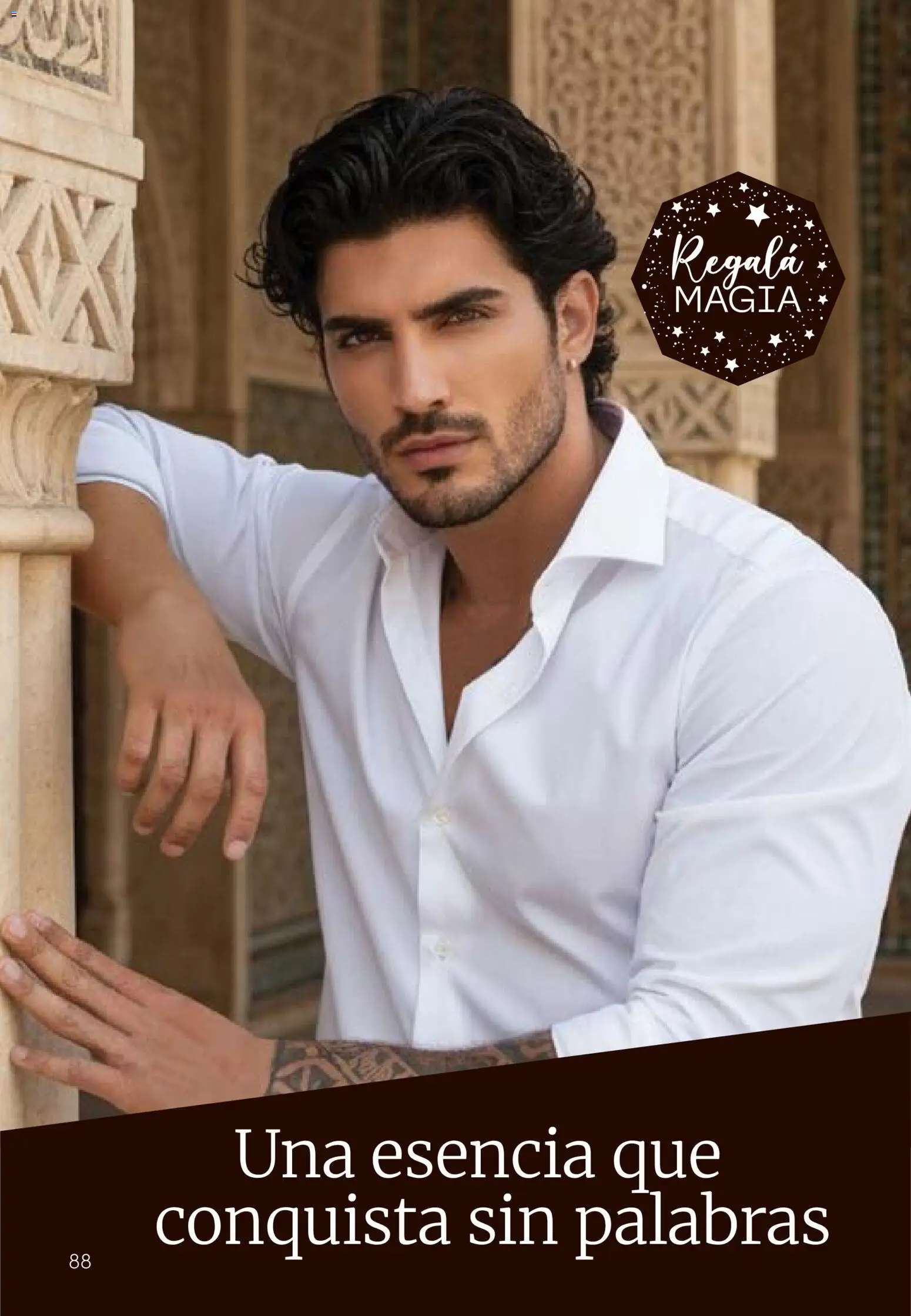 Tupperware Folleto │ válido desde el 24.11.2025 | Página: 89