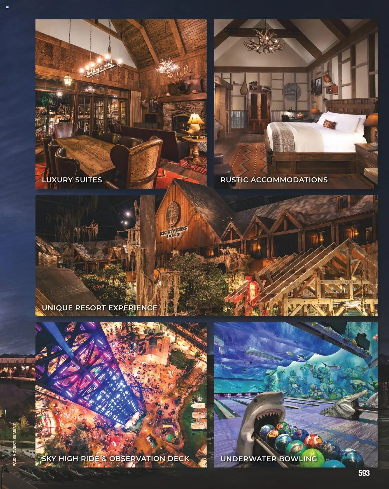 Cabela's Hunting Master 25 - valid from 11.08.2025 | Page: 593