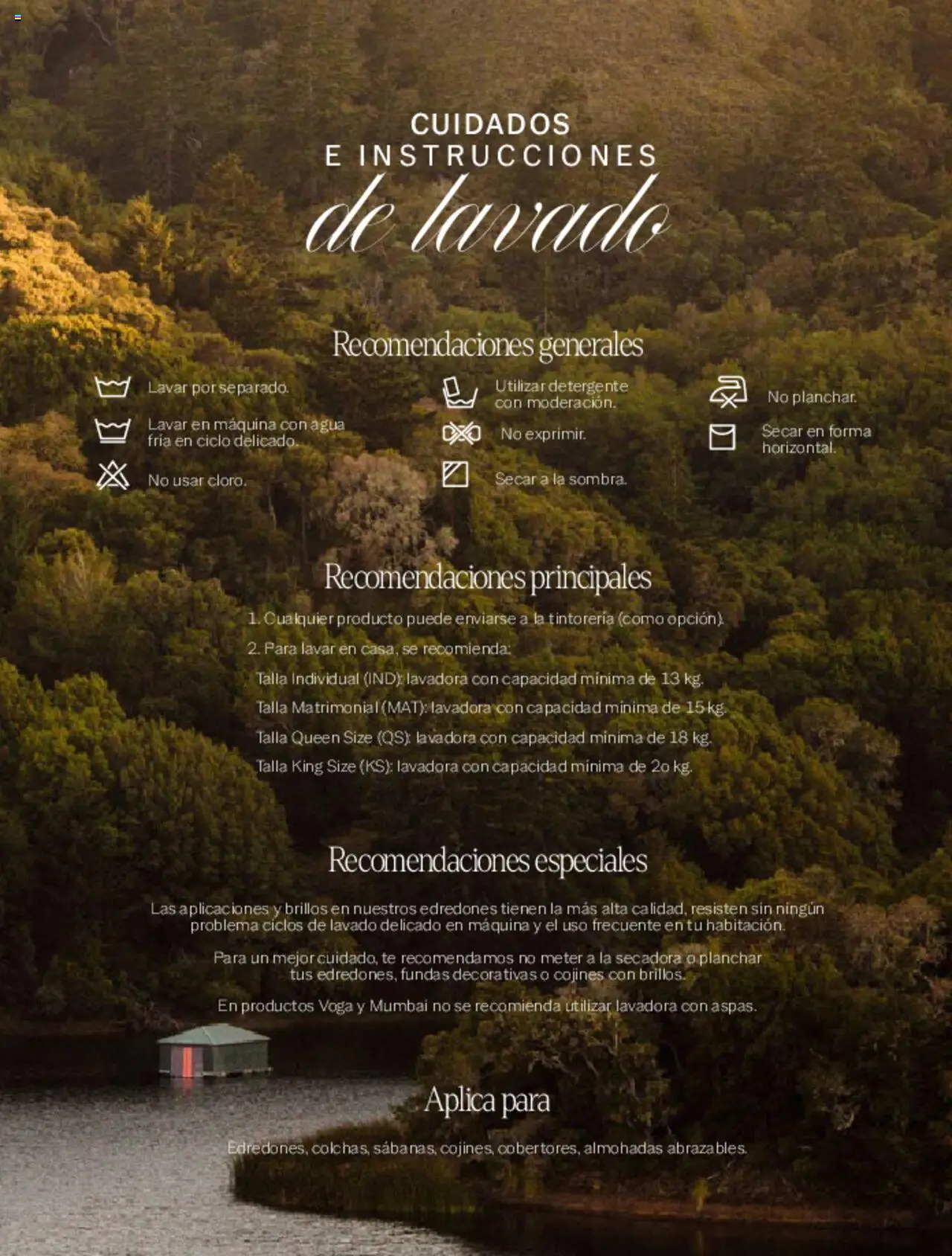 Nuevas ofertas de Vianney válidas en toda la República Mexicana desde el 07.03.2025. ¡Encuentra las mejores ofertas en Vianney catálogo Primavera! | Página: 263 | Productos: Detergente, Secadora, Agua, Té