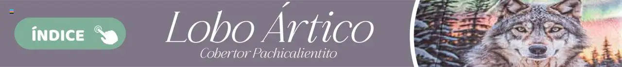 Nuevas ofertas de Colchas Concord válidas en toda la República Mexicana desde el 01.08.2025. ¡Encuentra las mejores ofertas en Colchas Concord - Catálogo! | Página: 754 | Productos: Cobertor
