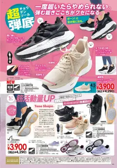 01.10.2025から有効なオファーを含む ヒラキ - Exciting Price 3712 | ページ: 47 | 製品: インソール